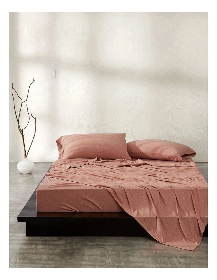 Calvin Klein Modern Cotton Harrison Sheeting In Terracotta 3 Calvin Klein Modern Cotton Harrison Sheeting In Terracotta