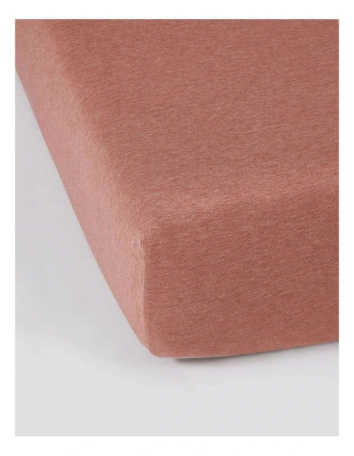 Calvin Klein Modern Cotton Harrison Sheeting In Terracotta 4 Calvin Klein Modern Cotton Harrison Sheeting In Terracotta - Image 2