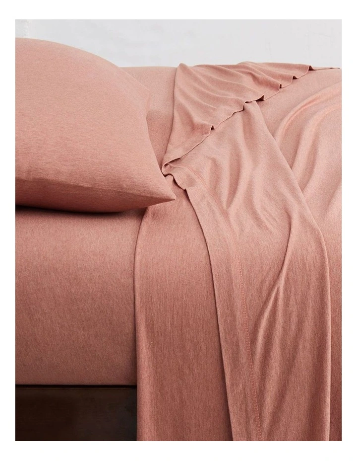 Calvin Klein Modern Cotton Harrison Sheeting In Terracotta 7 Calvin Klein Modern Cotton Harrison Sheeting In Terracotta - Image 5