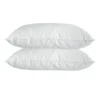 Luxury Quilted Bamboo Pillow Twin Pack -Bedding Shop 950986630 1 720x928
